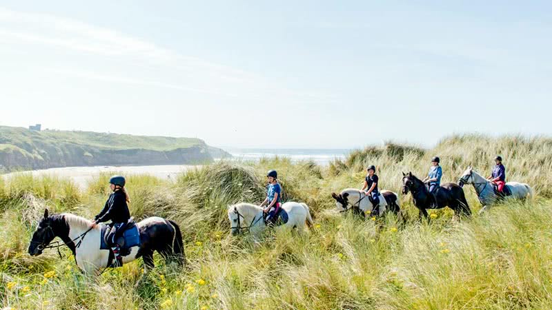 Cursos de inglÃ©s para jÃ³venes con equitaciÃ³n en Irlanda